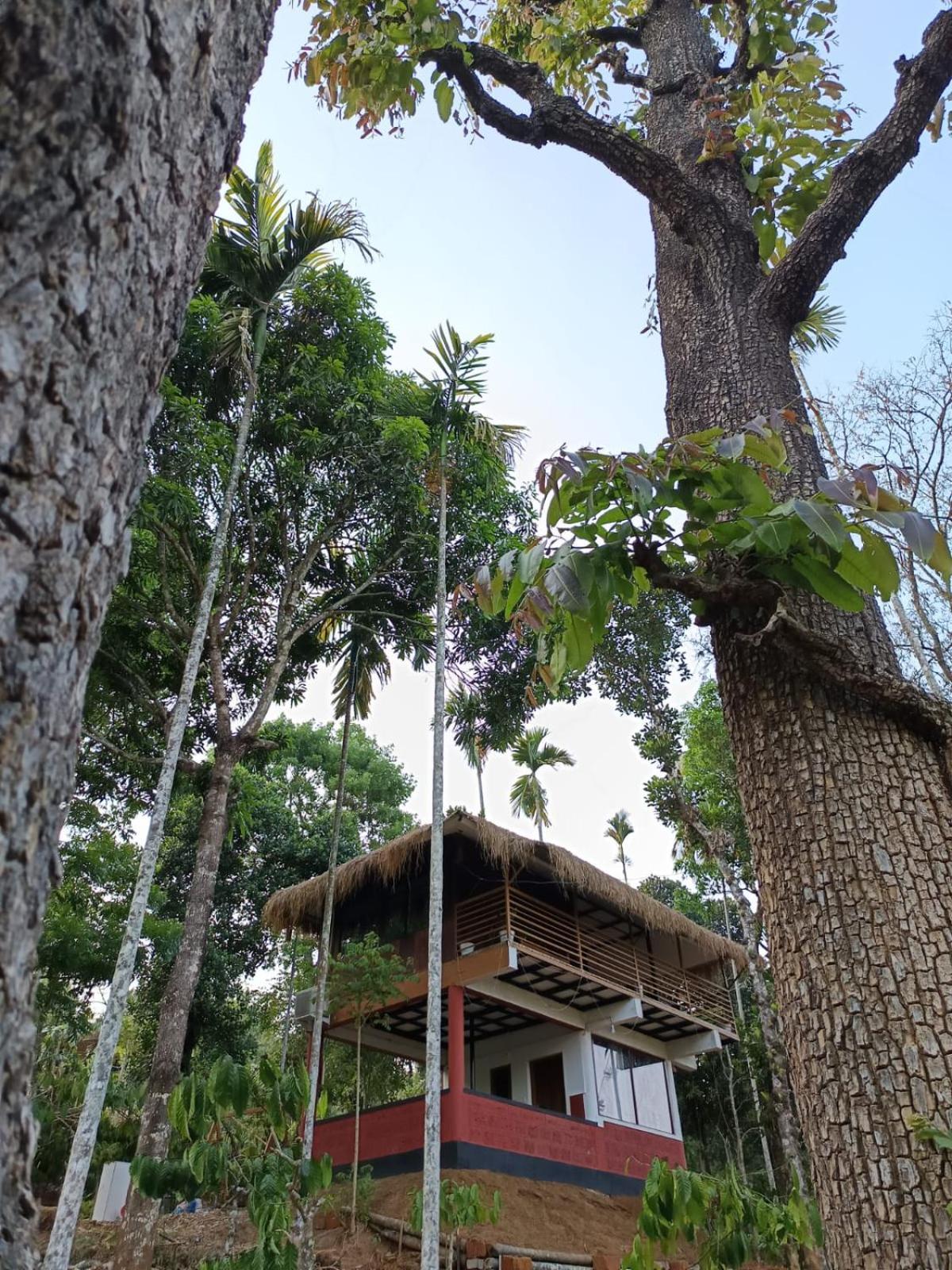 Kuruva Shoreline Wayanad Chegāt Exterior foto