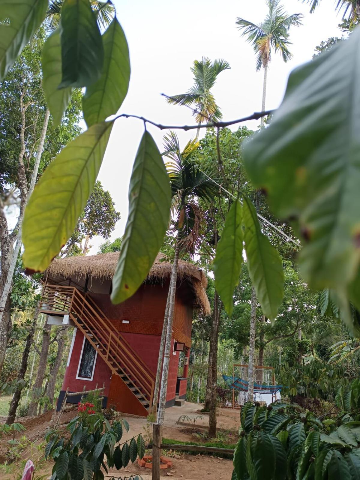 Kuruva Shoreline Wayanad Chegāt Exterior foto